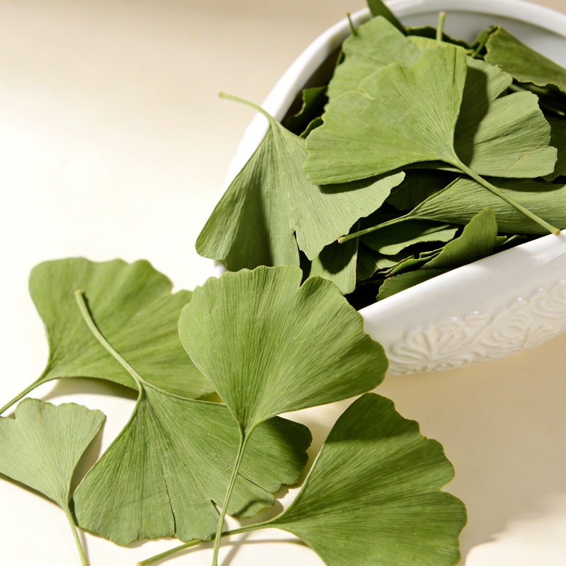 Soap Making Fragrance - Quality Ginkgo Biloba Dried Leaves For