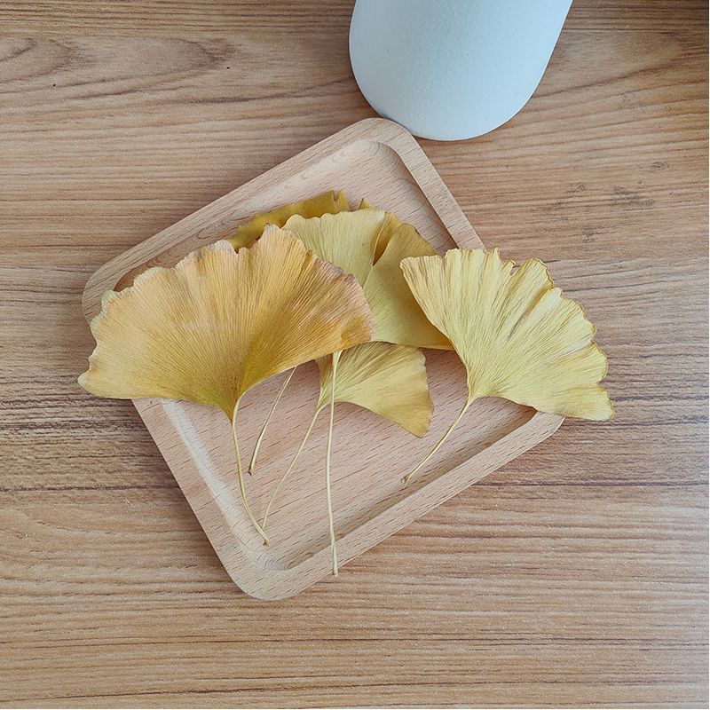 Natural Ginkgo Biloba Dried Le - огляд і ціна Soap Making In Home