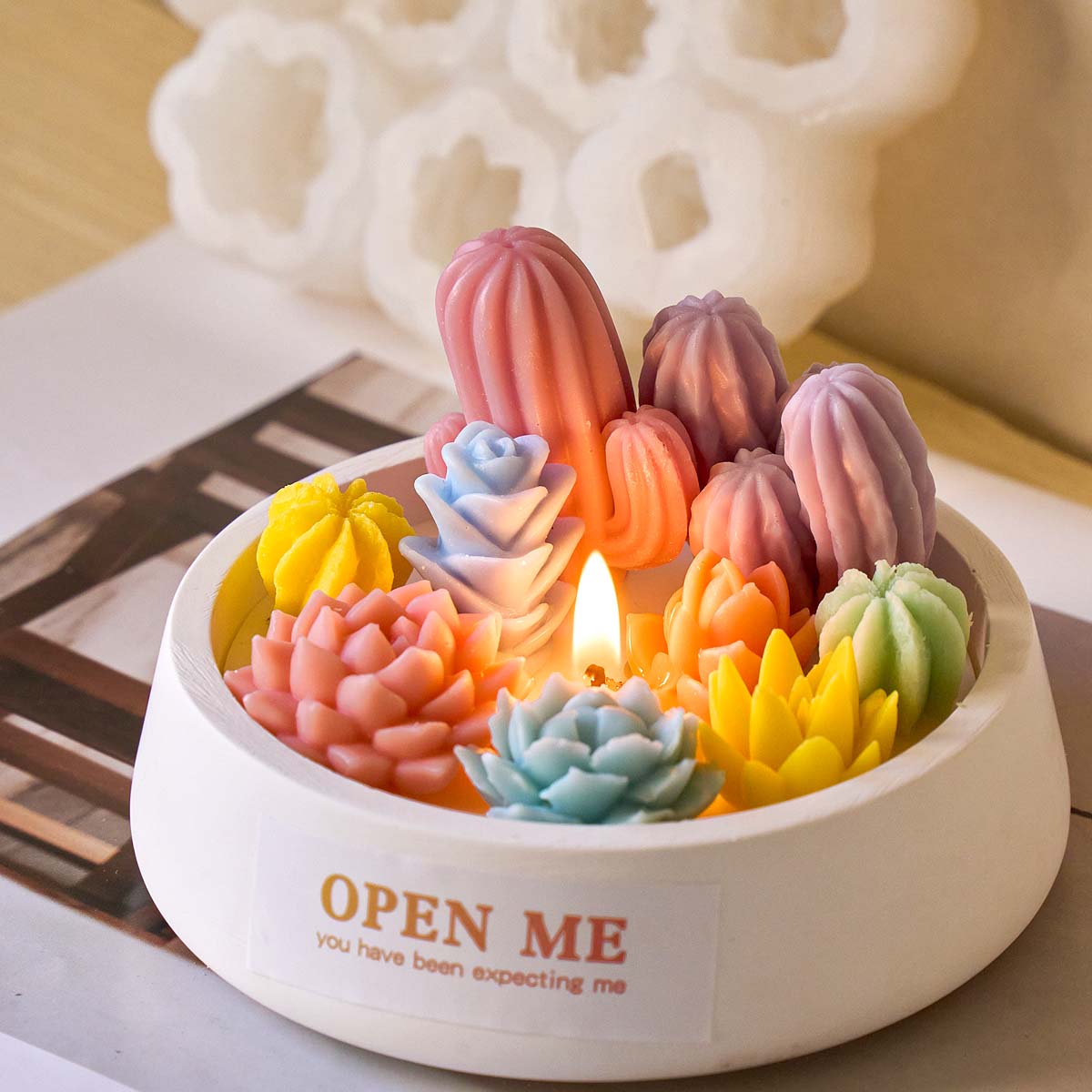 3D Succulent Kit Silicone Cand - огляд і ціна Soap Making Book For Beginners