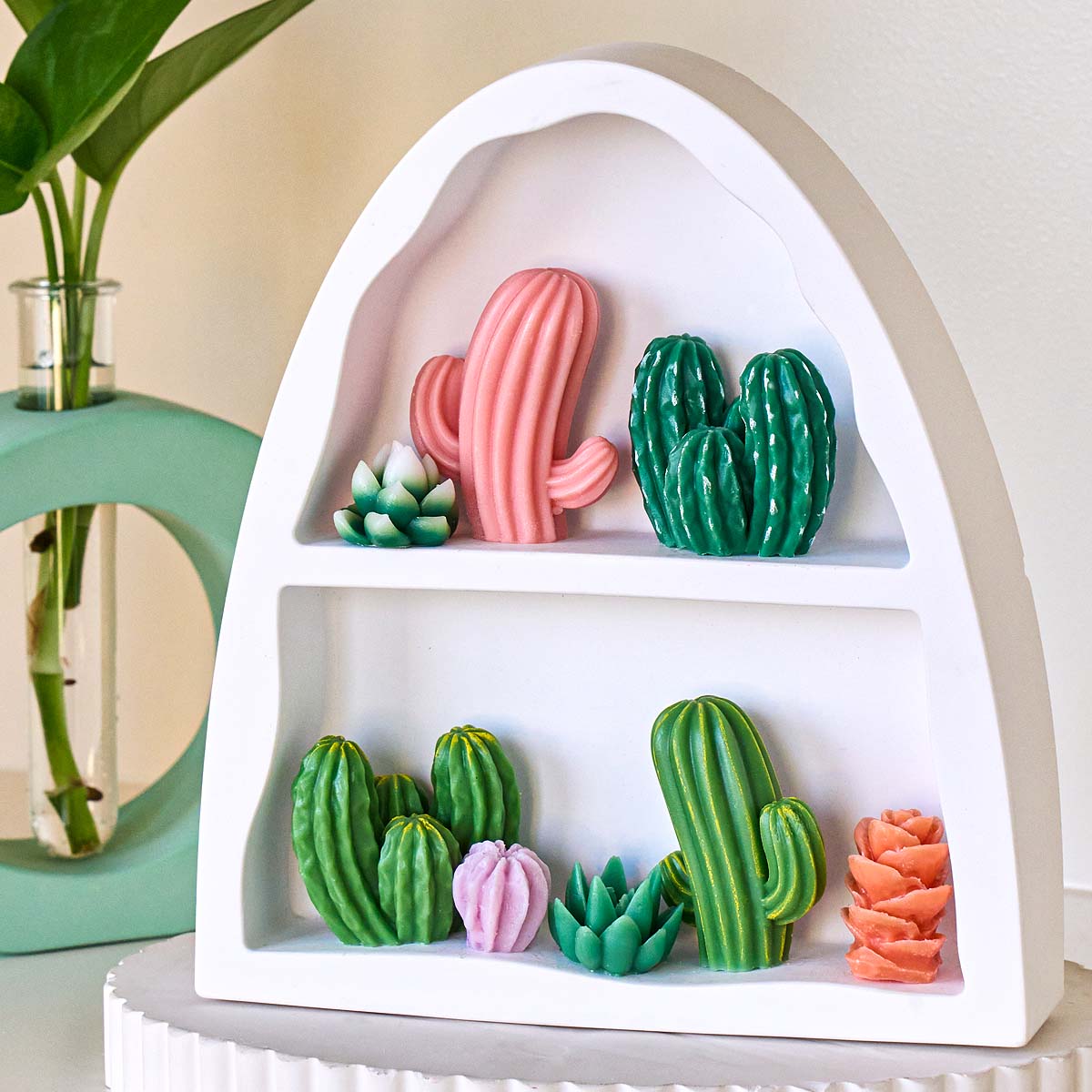 3D Succulent Kit Silicone Cand - огляд і ціна Soap Making Book For Beginners
